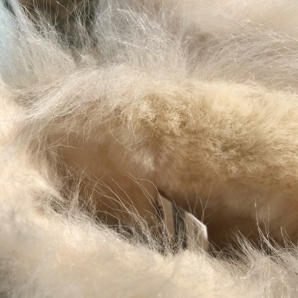 UGG Mini Toscana Cuff Boots - Picture 6 of 7